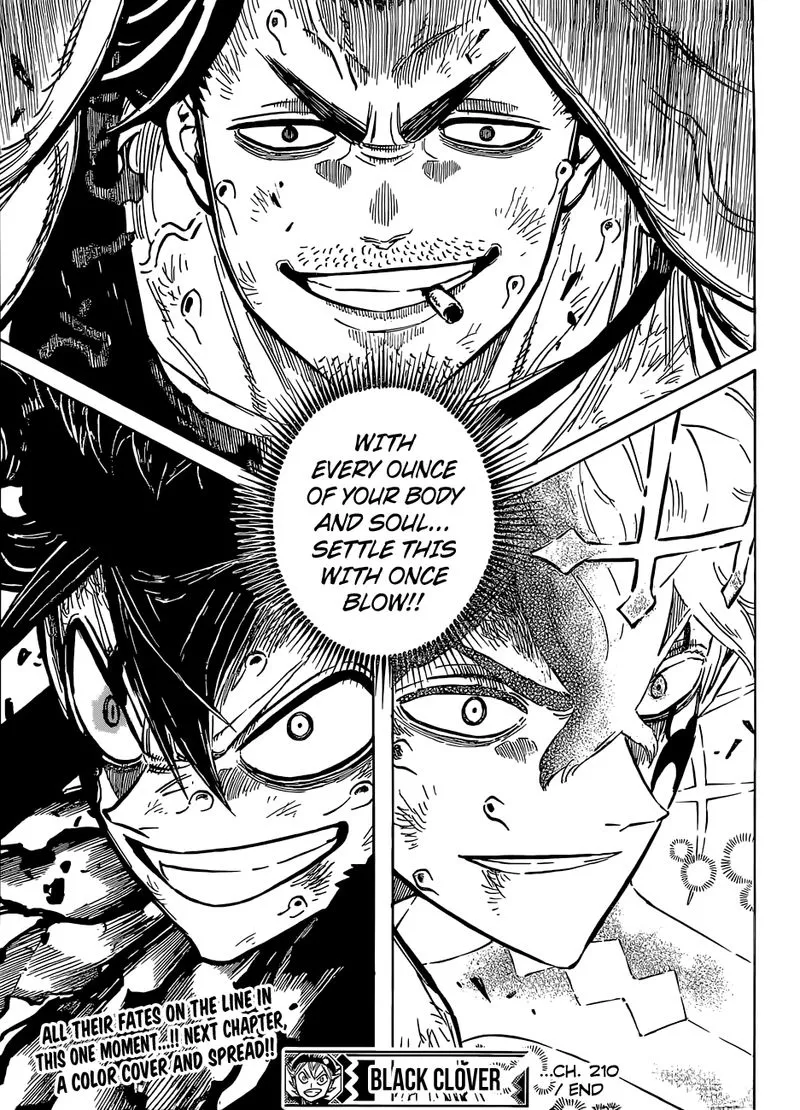 Black Clover Chapter 210 Image 14