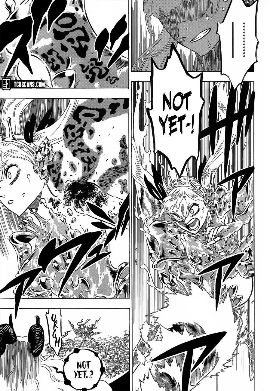 Black Clover Chapter 300 Image 4