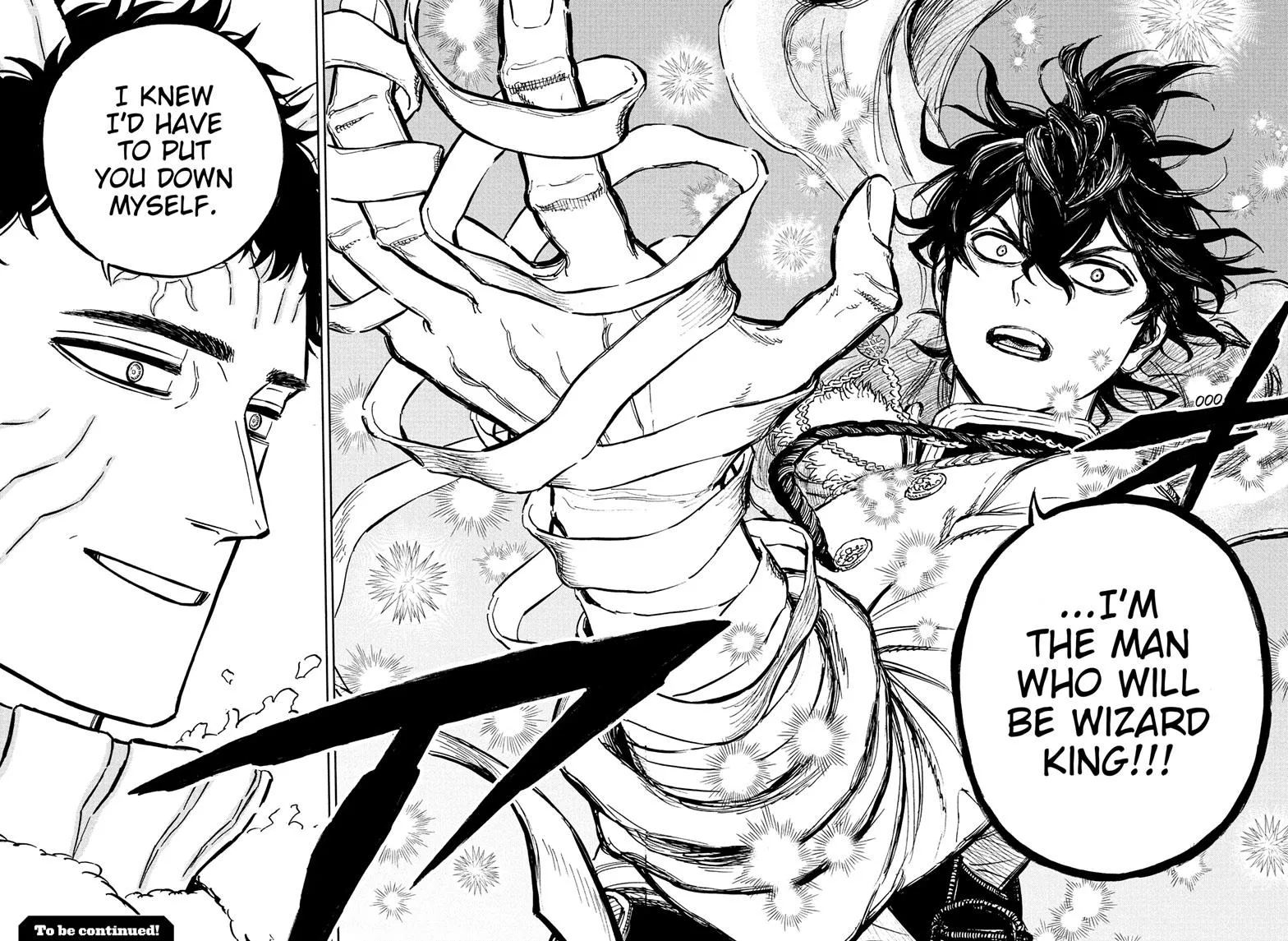 Black Clover Chapter 355 Image 14