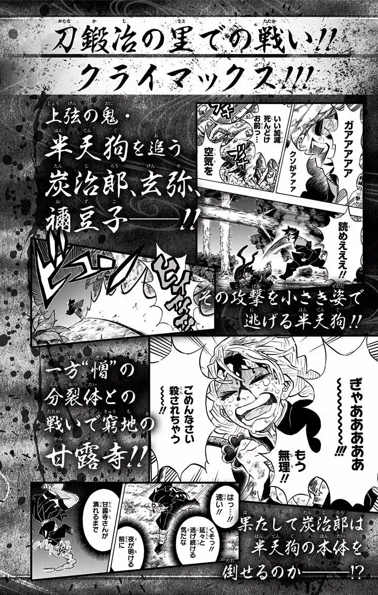 Demon Slayer Chapter 124a Image 15