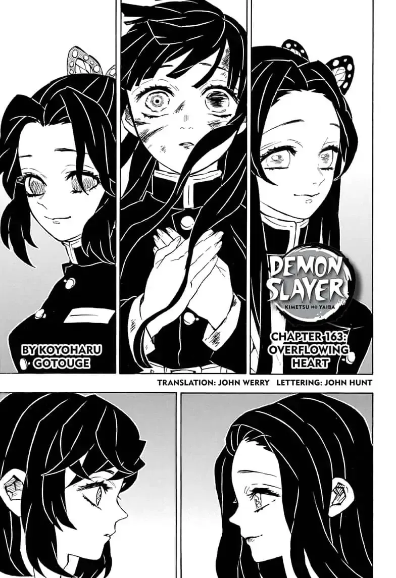 Demon Slayer Chapter 163 Image 1