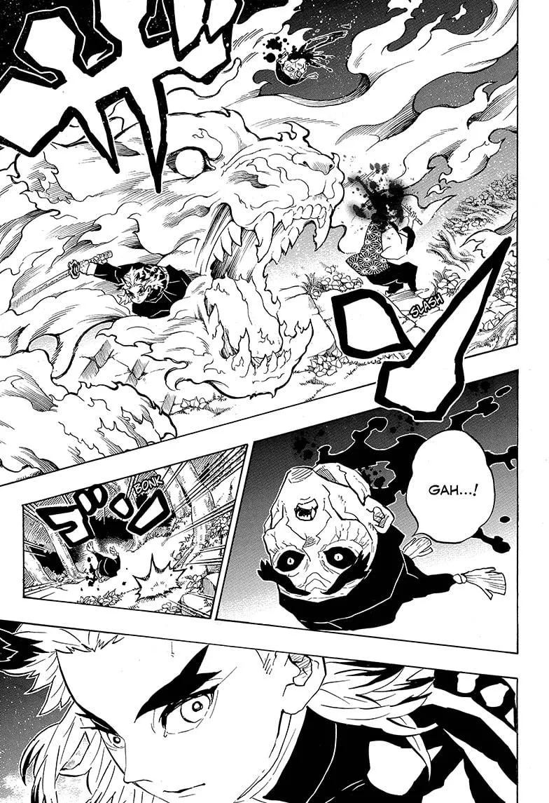 Demon Slayer Chapter 205a Image 17