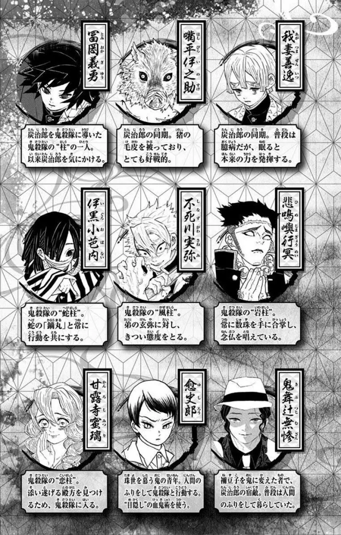 Demon Slayer Chapter 205b Image 5