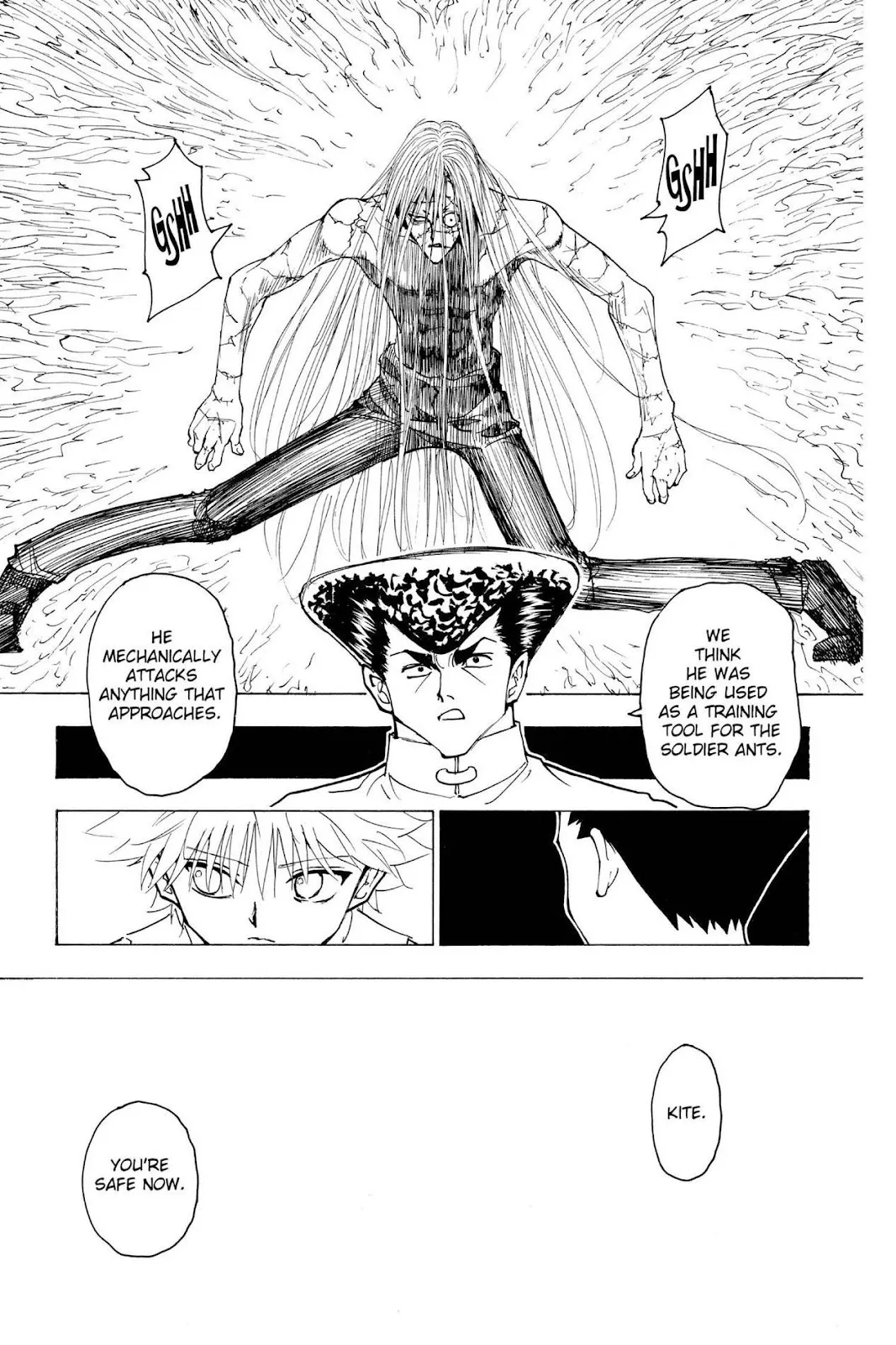 Hunter X Hunter Chapter 222 Image 5