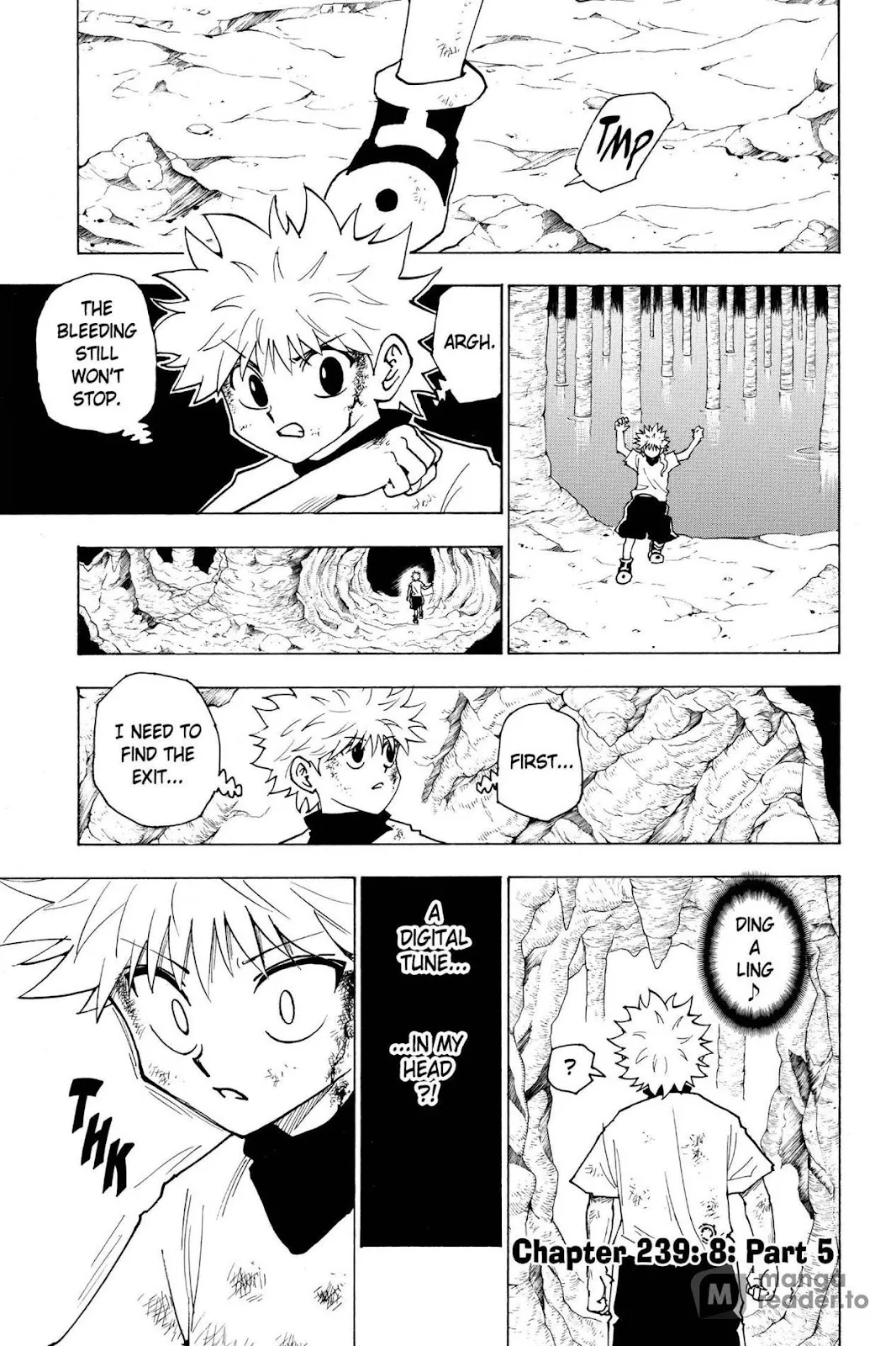 Hunter X Hunter Chapter 239 Image 1