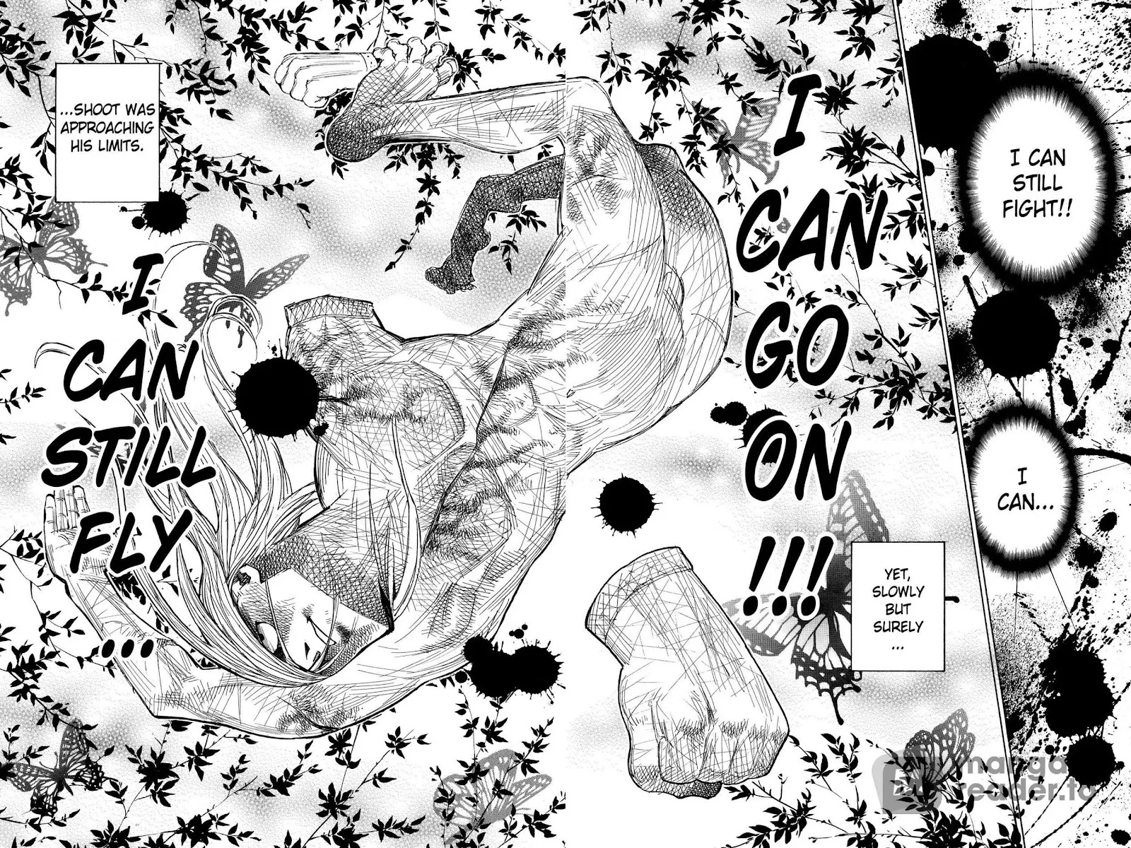 Hunter X Hunter Chapter 272 Image 13