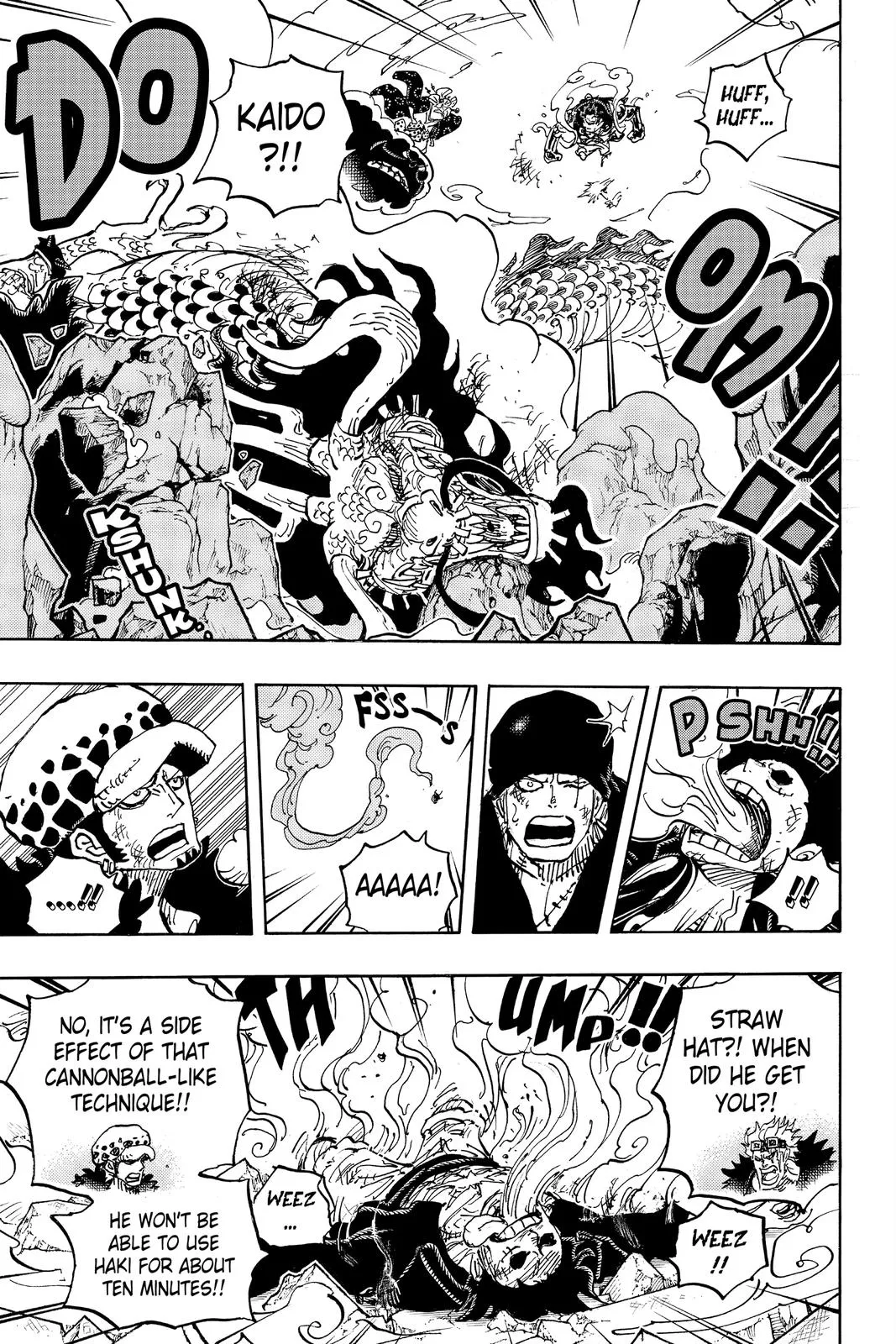 One Piece Chapter 1002 Image 18