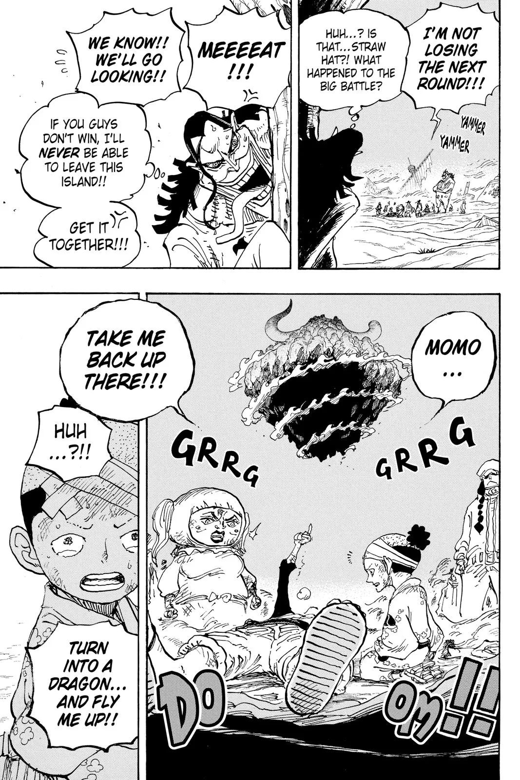 One Piece Chapter 1020 Image 17