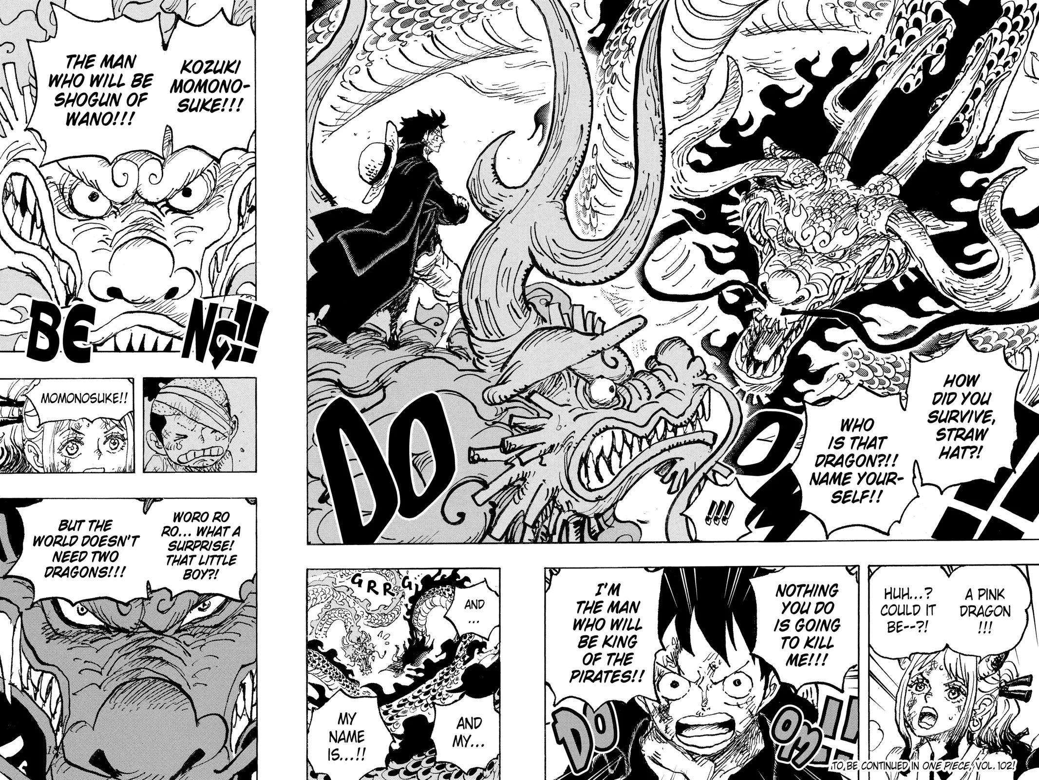 One Piece Chapter 1025 Image 14