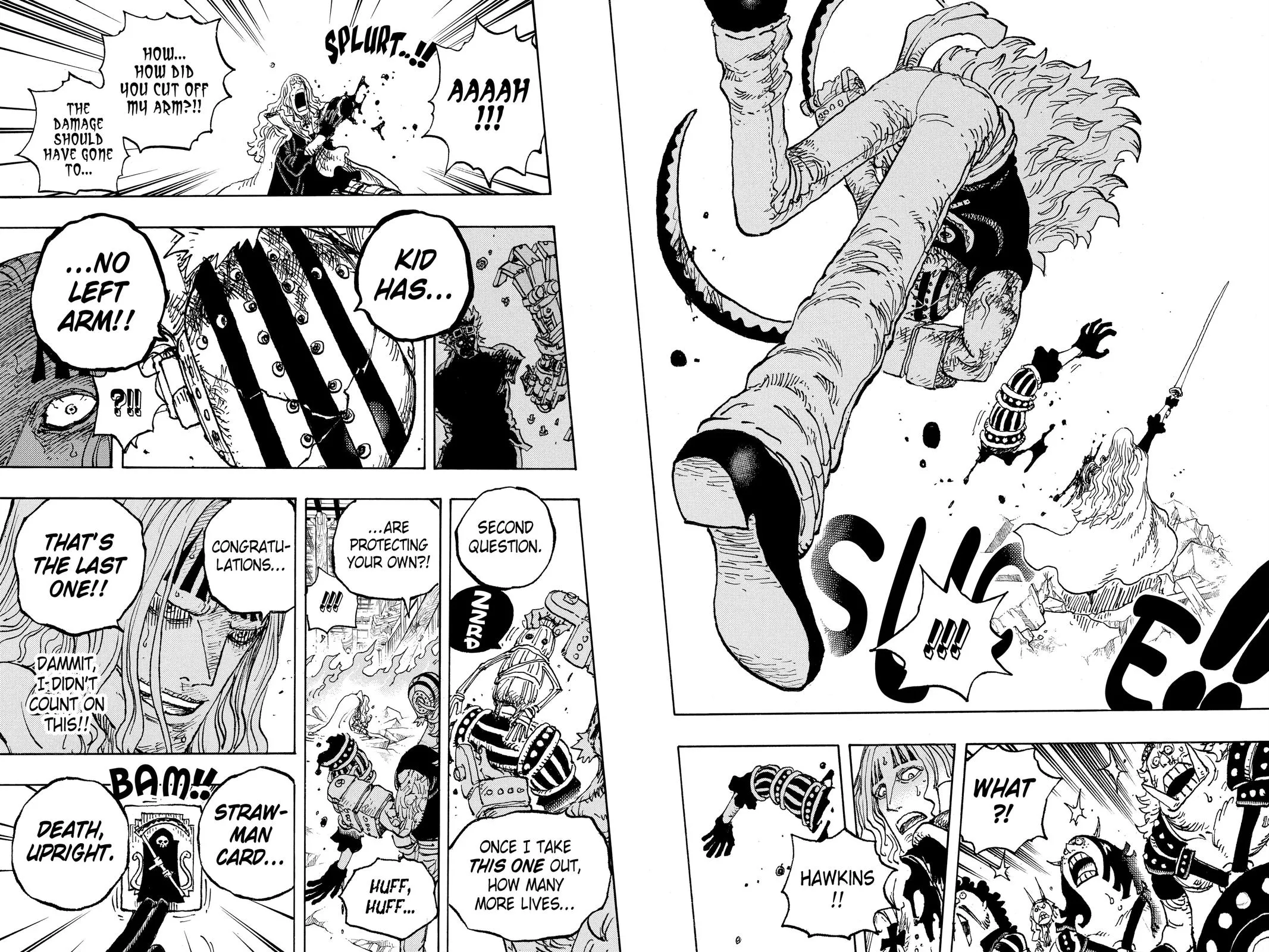 One Piece Chapter 1029 Image 12