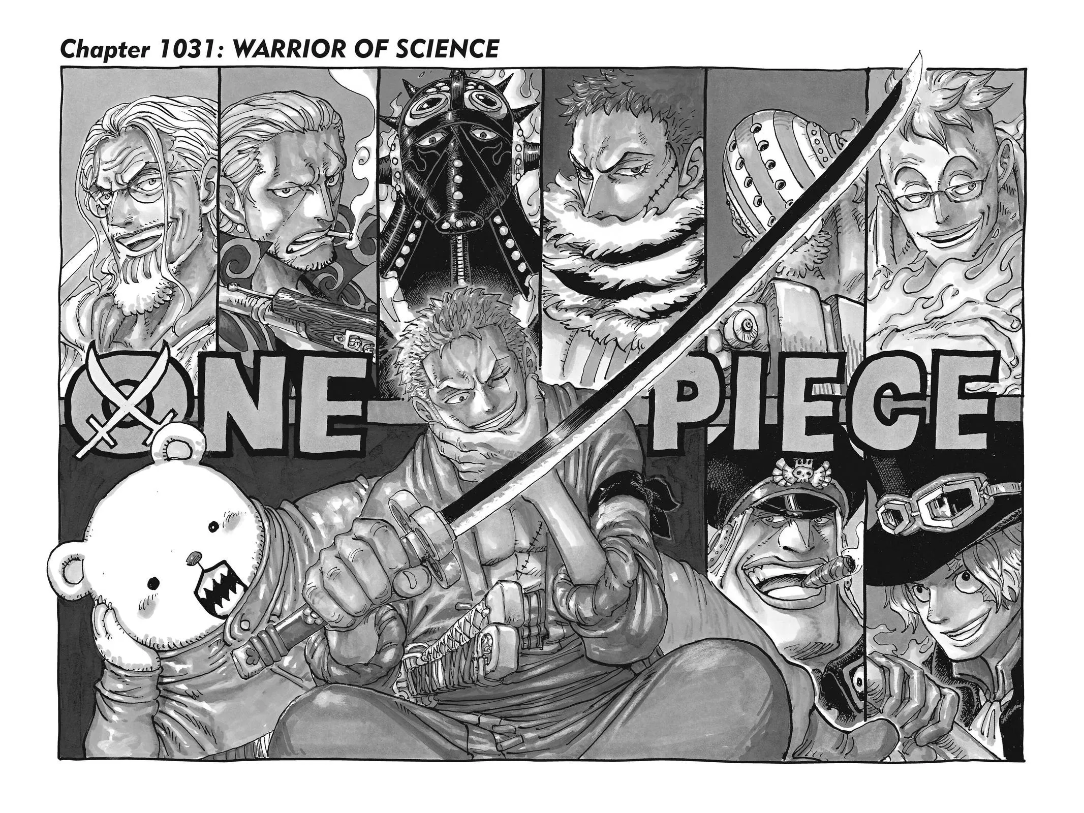 One Piece Chapter 1031 Image 1