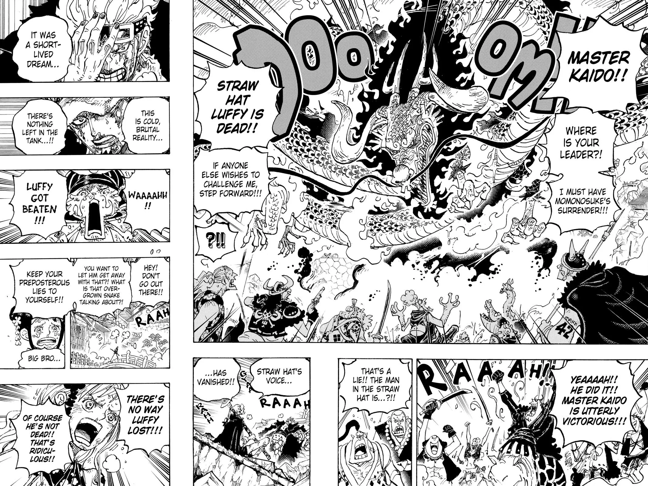 One Piece Chapter 1042 Image 13