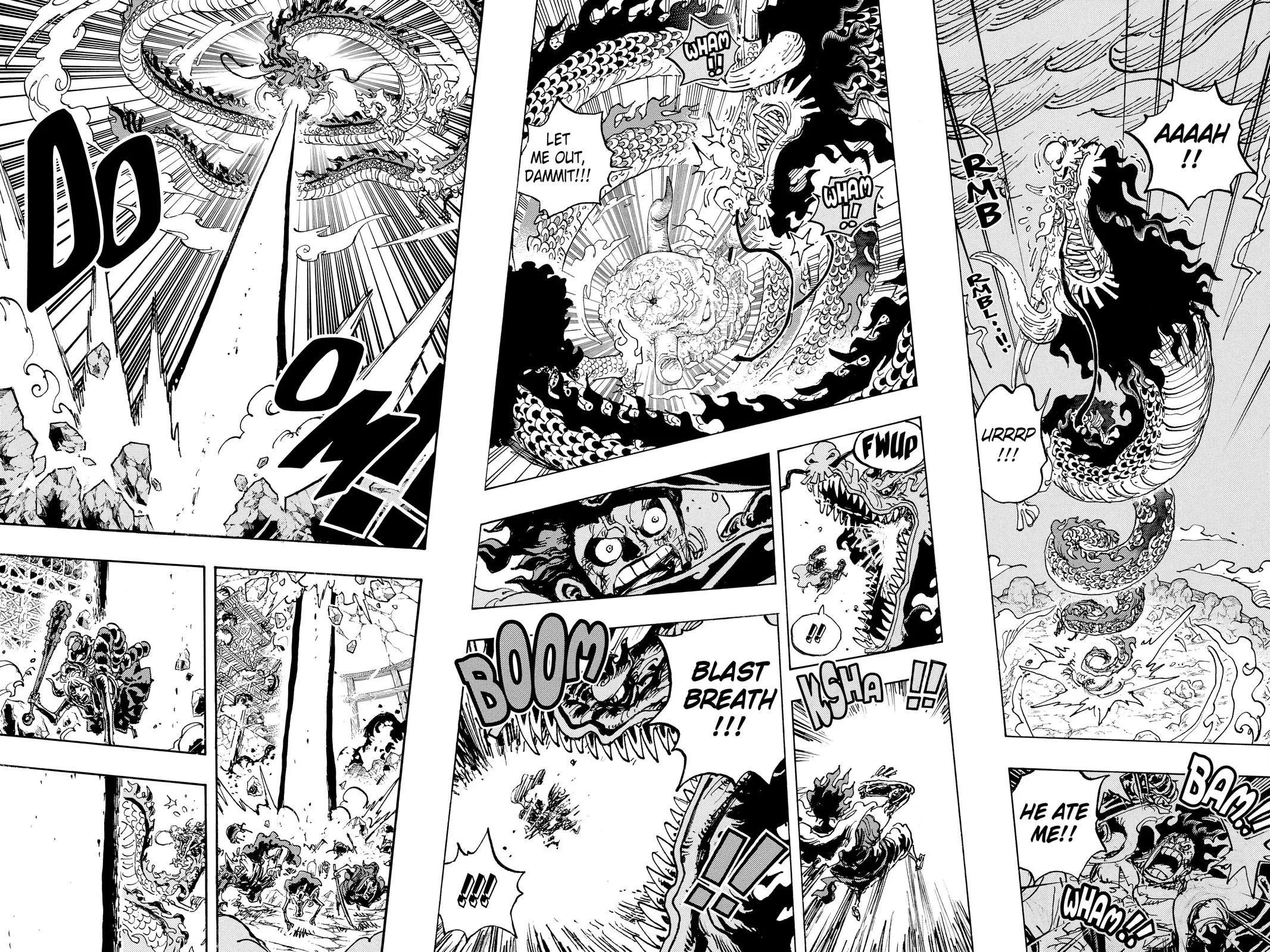 One Piece Chapter 1042 Image 23