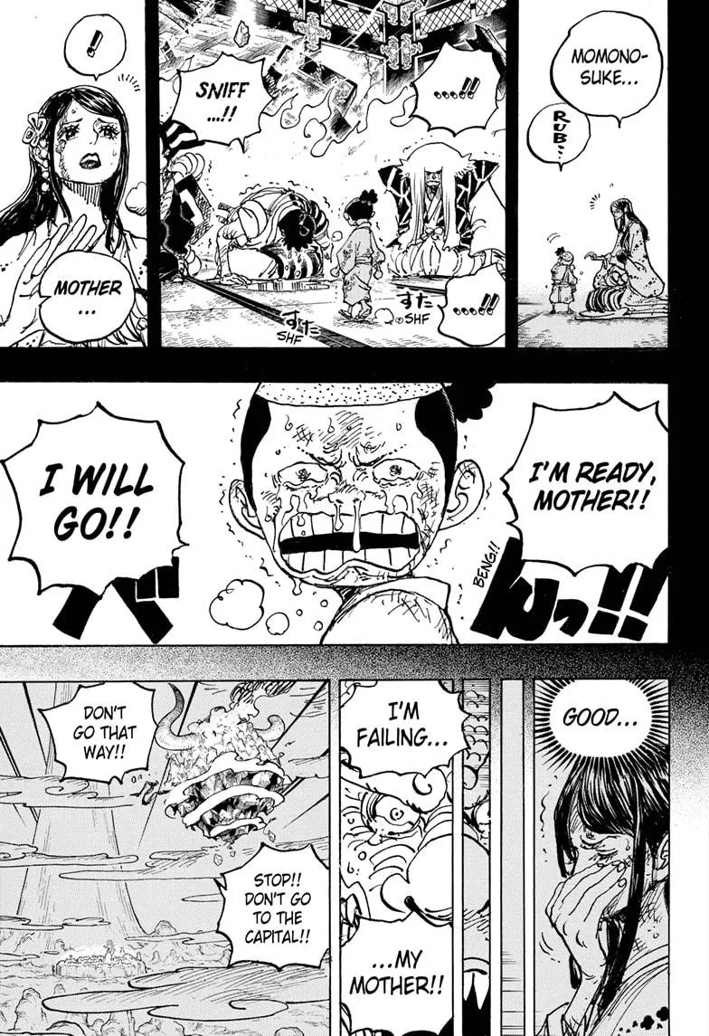 One Piece Chapter 1047 Image 5