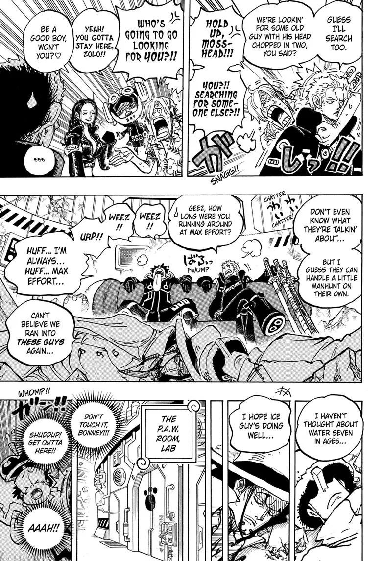 One Piece Chapter 1074 Image 11