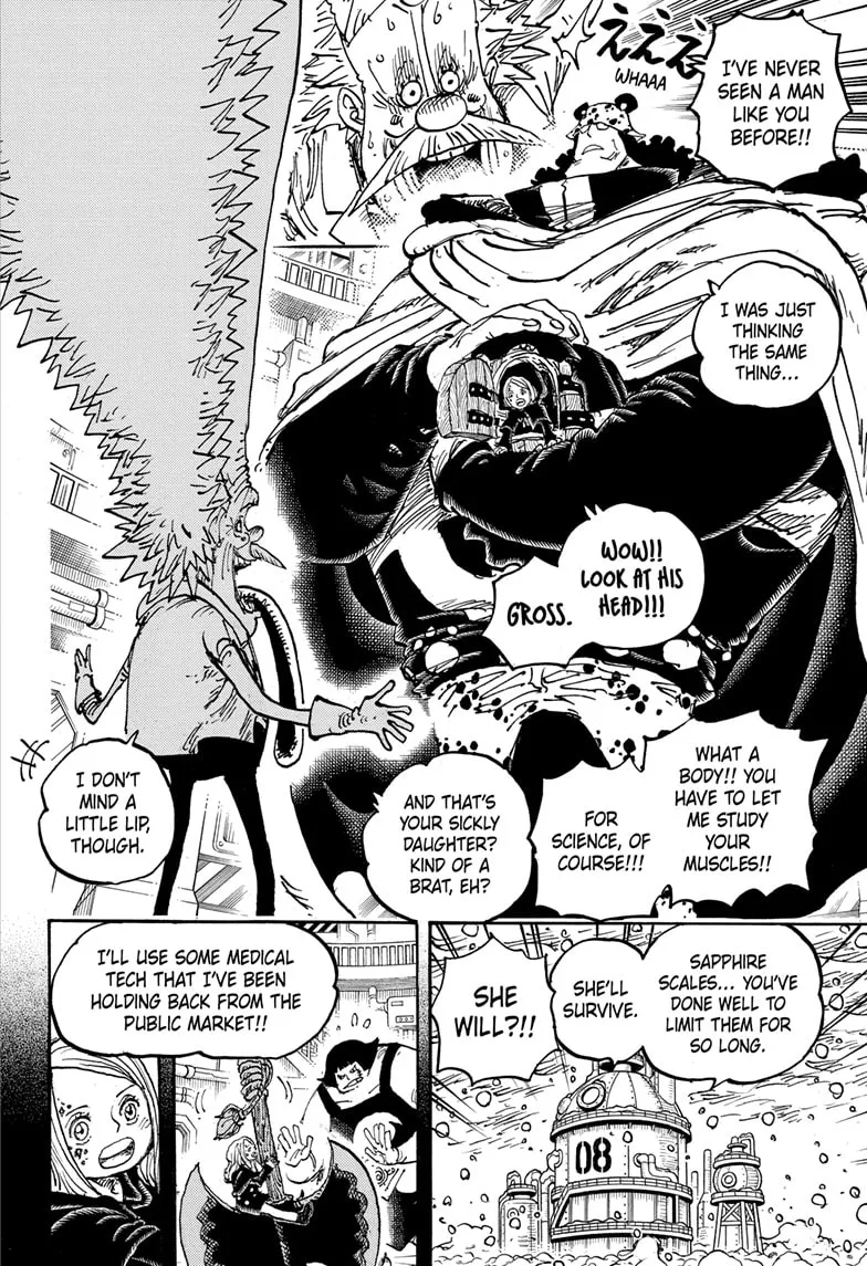 One Piece Chapter 1099 Image 14