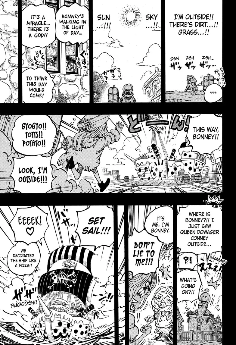 One Piece Chapter 1101 Image 16