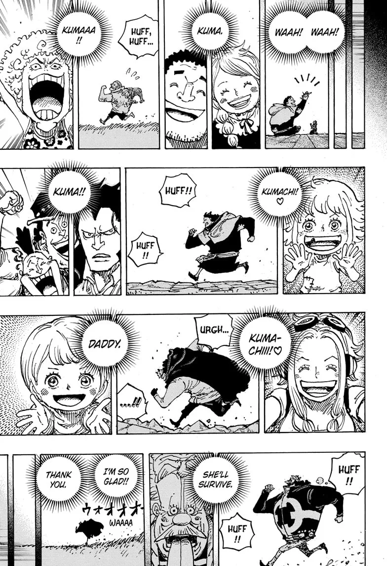 One Piece Chapter 1102 Image 15