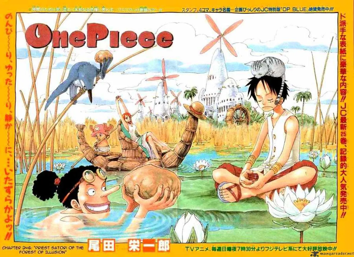 One Piece Chapter 246 Image 1