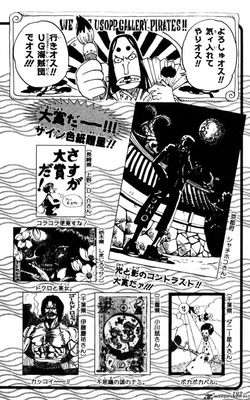 One Piece Chapter 246 Image 20