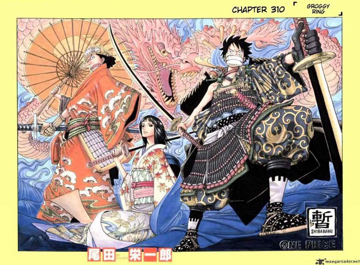 One Piece Chapter 310 Image 1