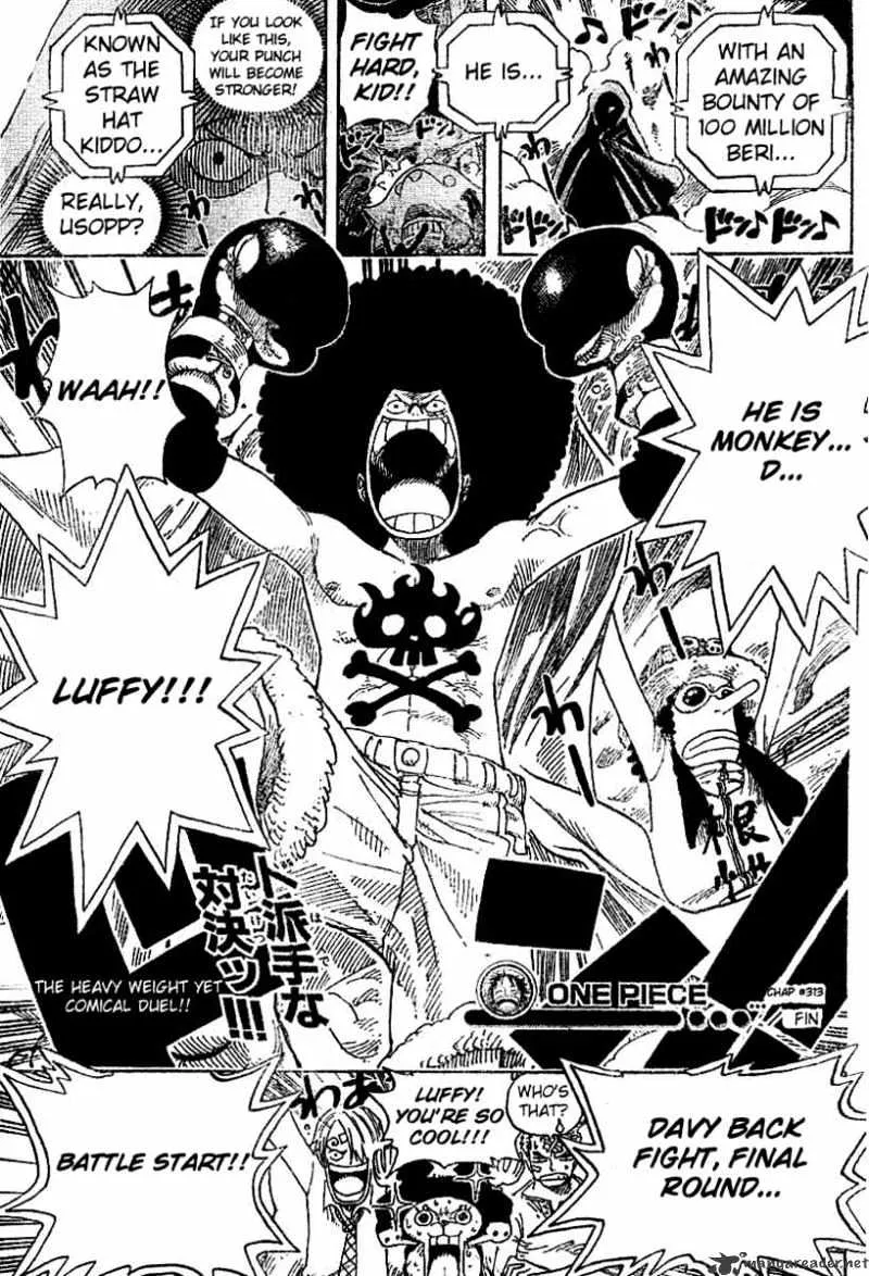 One Piece Chapter 313 Image 19