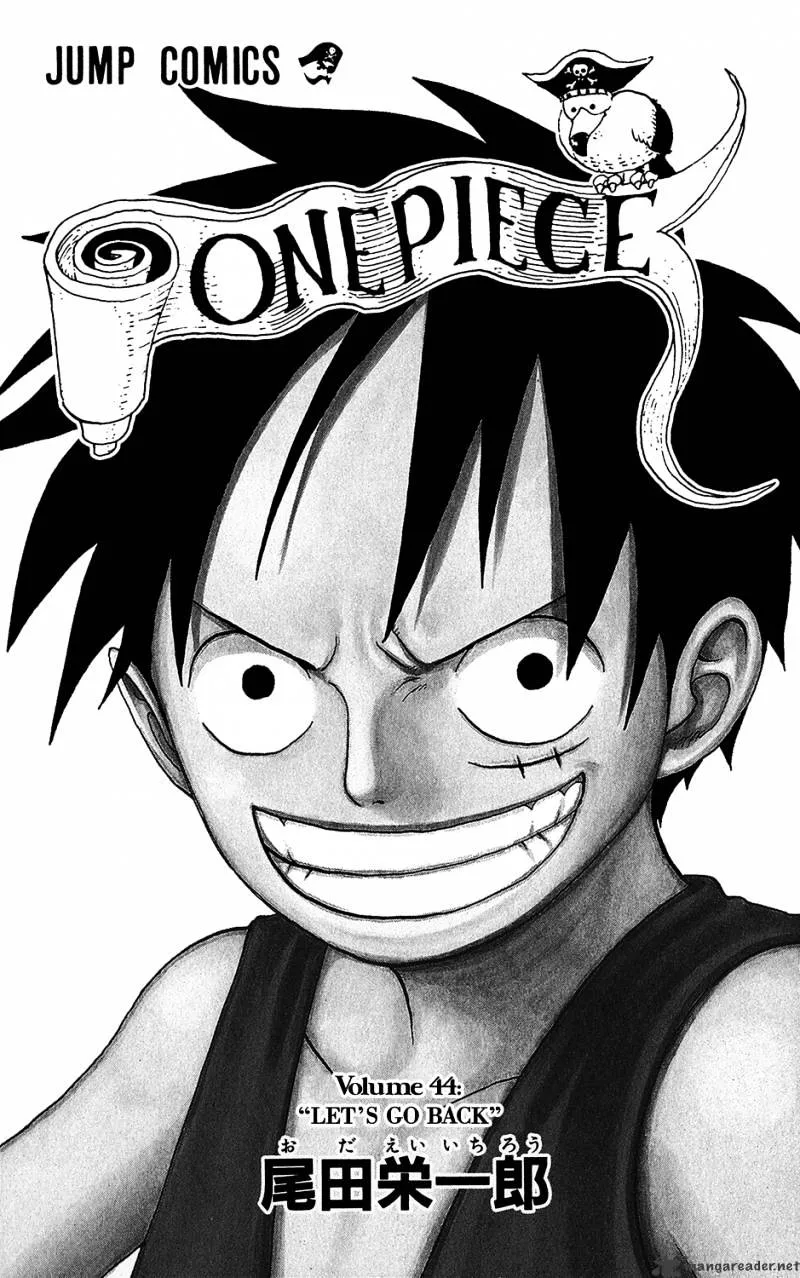 One Piece Chapter 420 Image 8