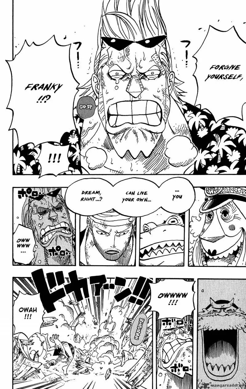 One Piece Chapter 437 Image 10