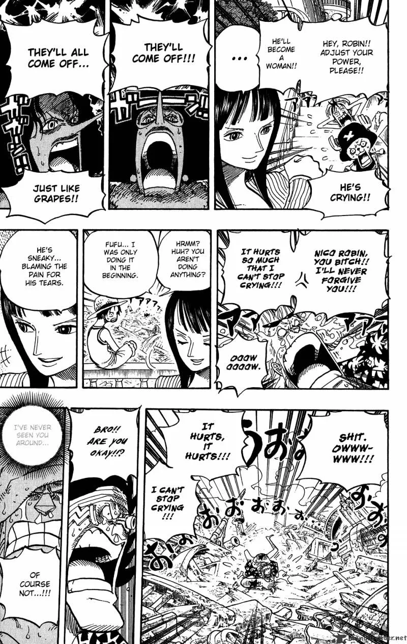 One Piece Chapter 437 Image 13