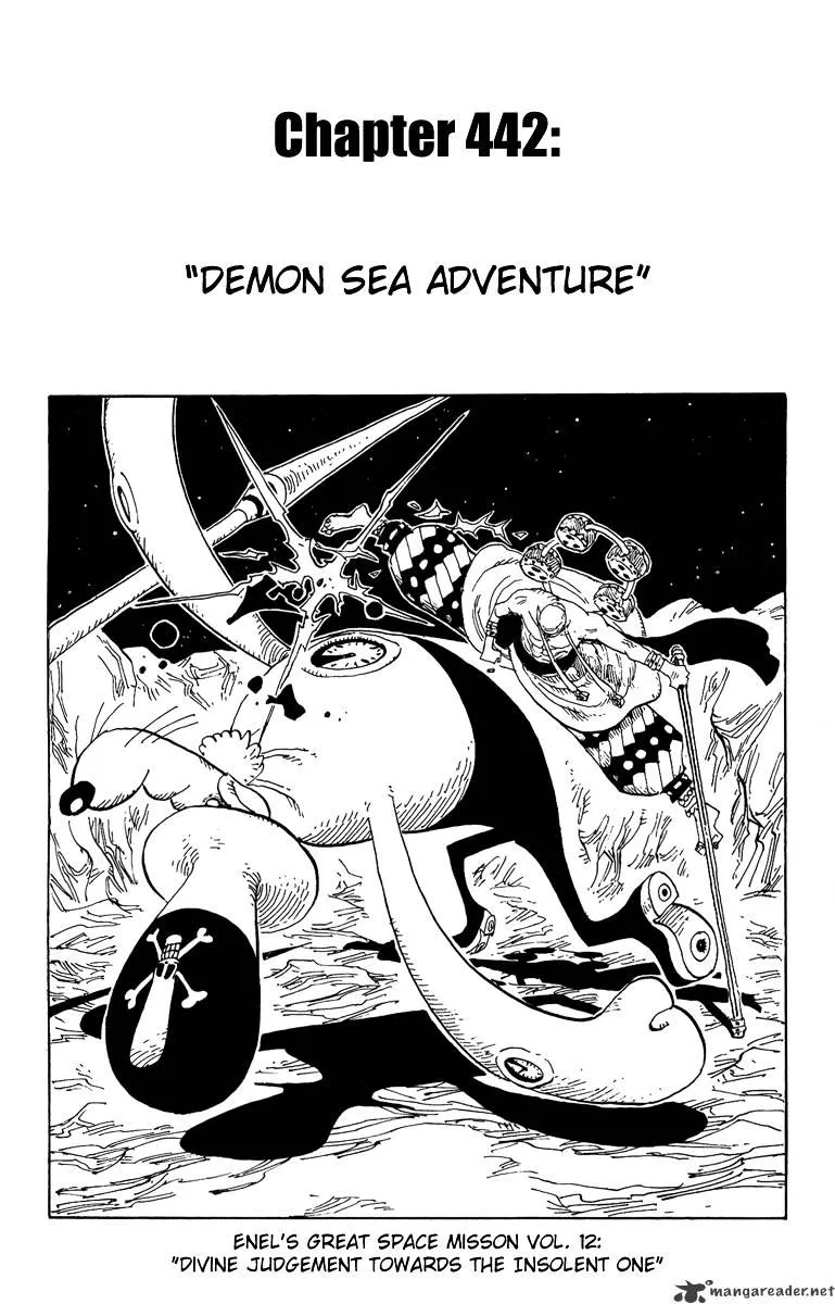 One Piece Chapter 441 Image 29