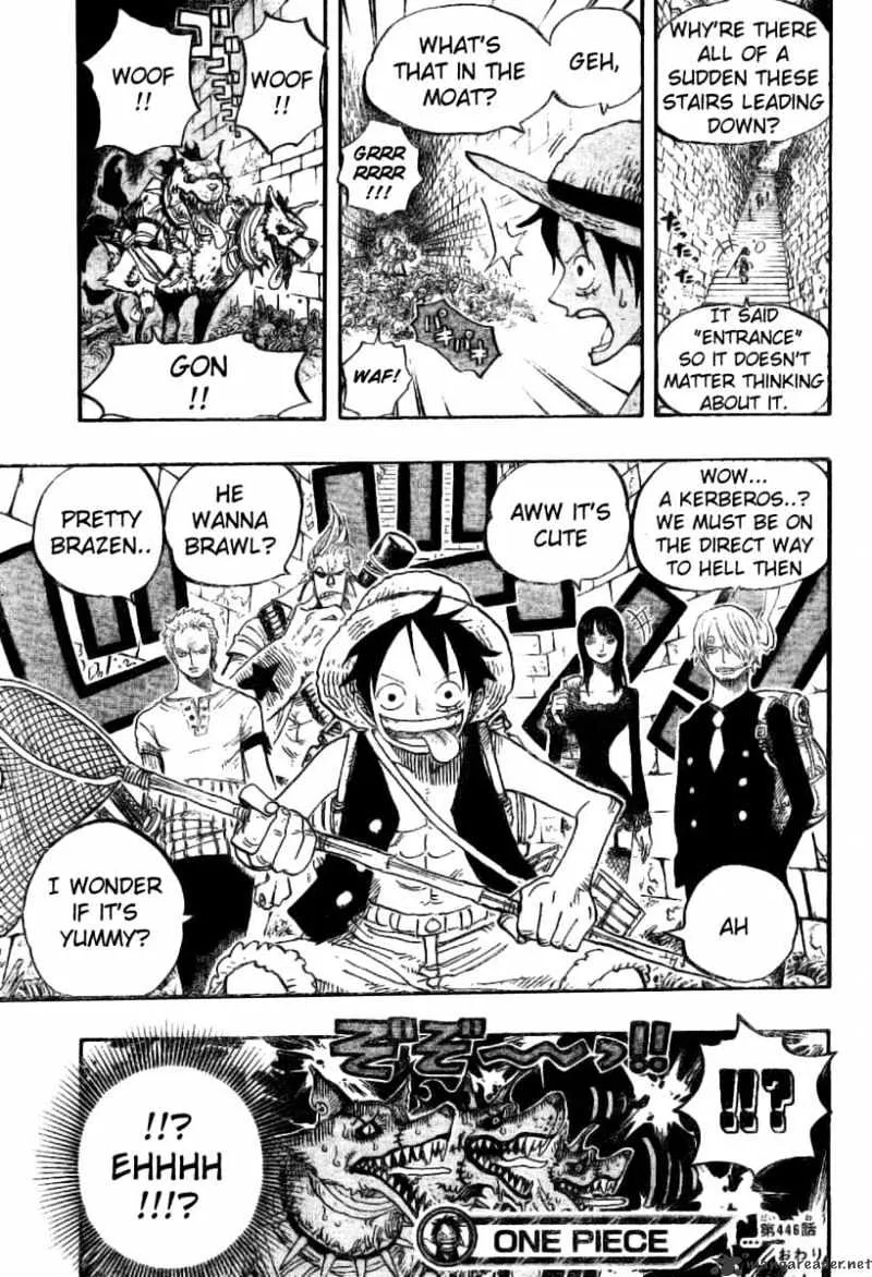 One Piece Chapter 446 Image 18