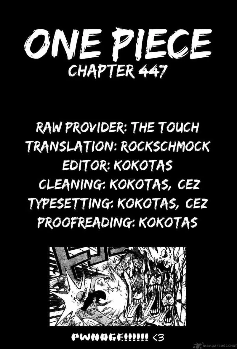 One Piece Chapter 447 Image 20