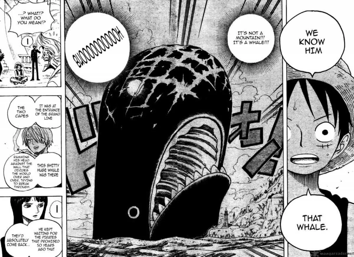 One Piece Chapter 459 Image 13