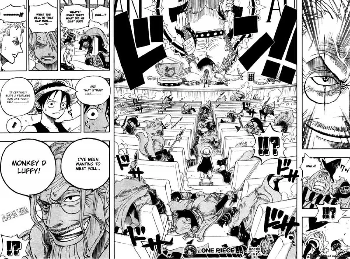 One Piece Chapter 503 Image 17