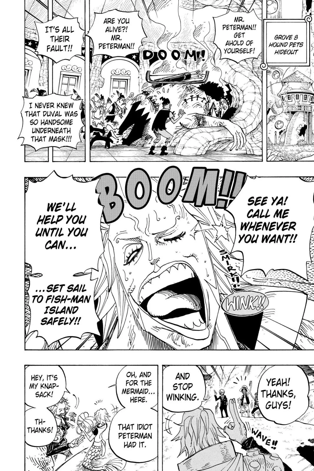 One Piece Chapter 506 Image 6