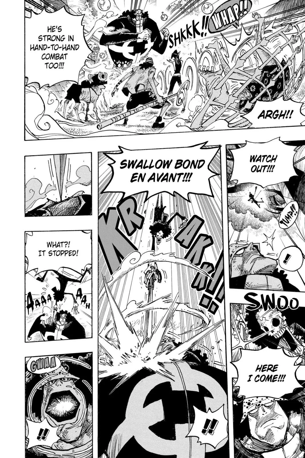 One Piece Chapter 510 Image 12