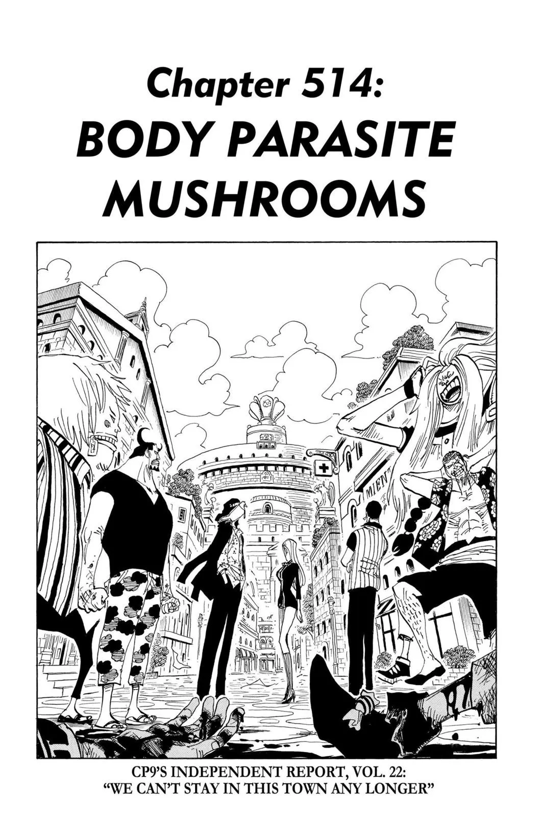 One Piece Chapter 514 Image 1