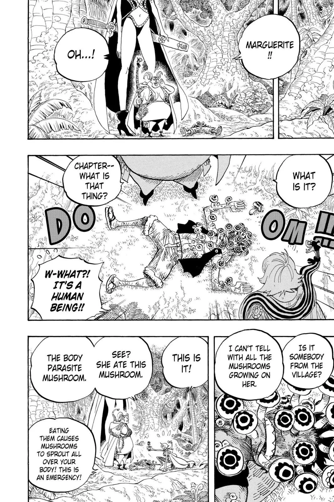 One Piece Chapter 514 Image 13