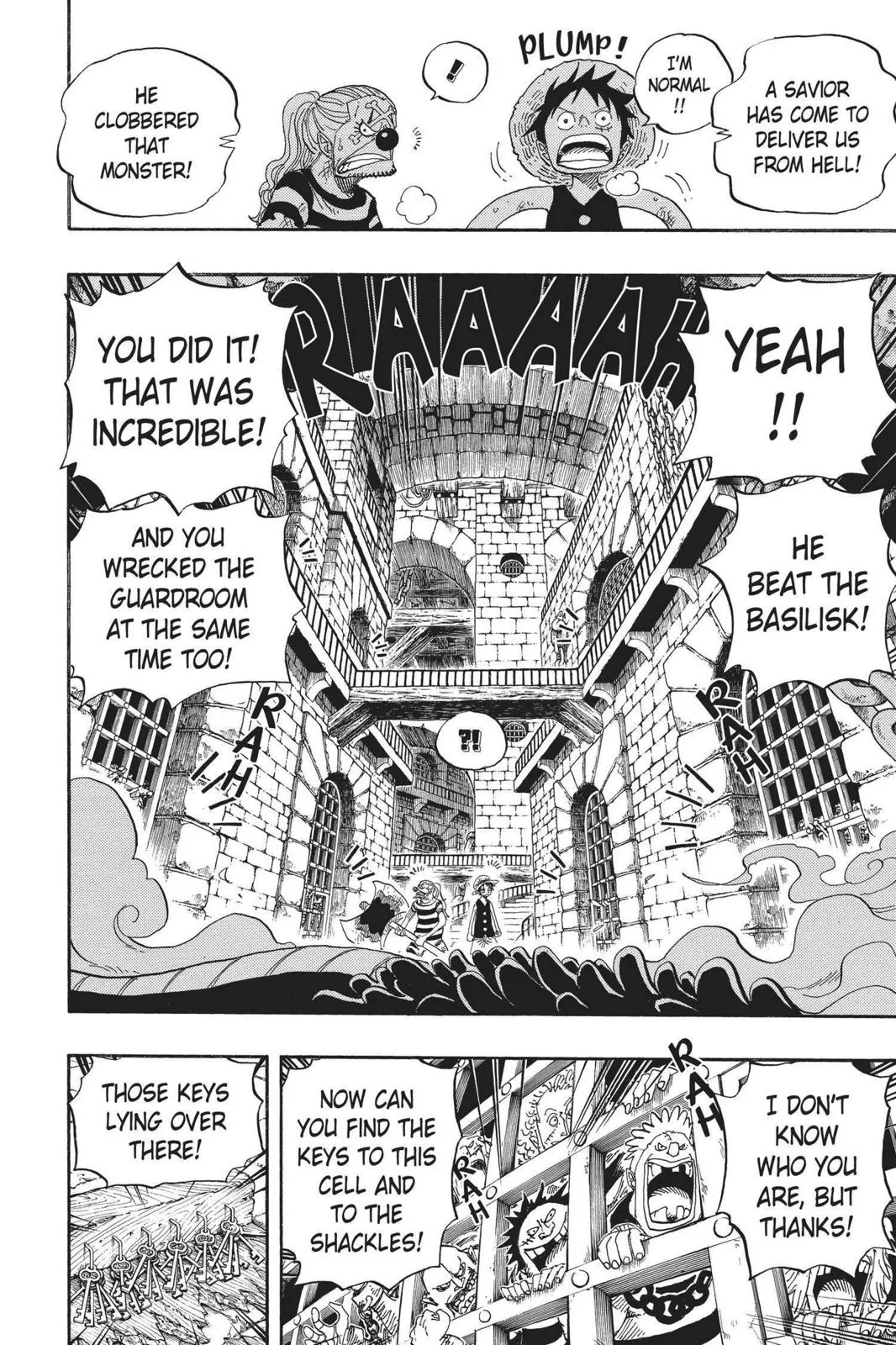 One Piece Chapter 528 Image 12