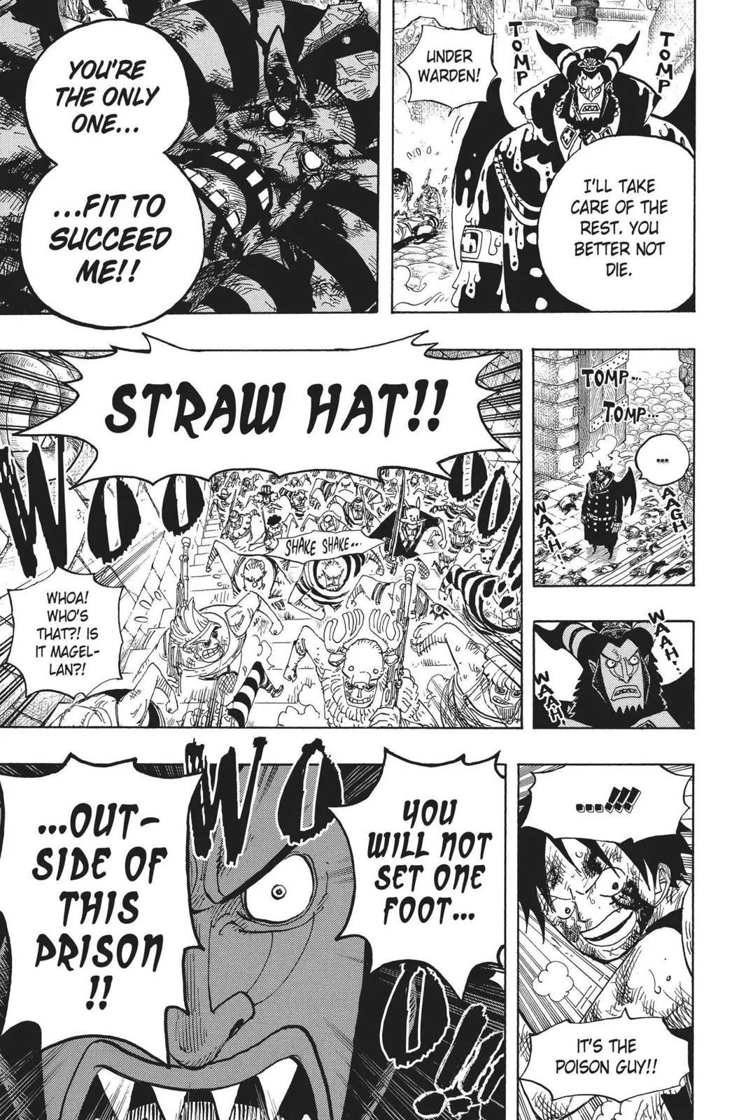 One Piece Chapter 544 Image 19