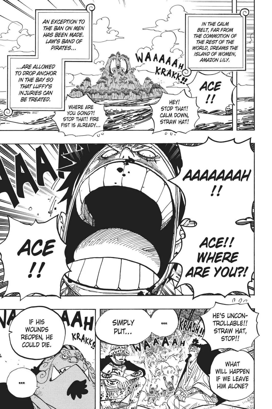 One Piece Chapter 582 Image 5