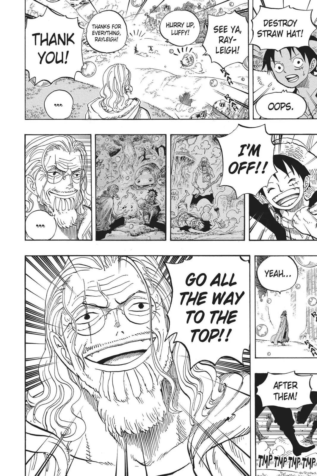 One Piece Chapter 601 Image 2