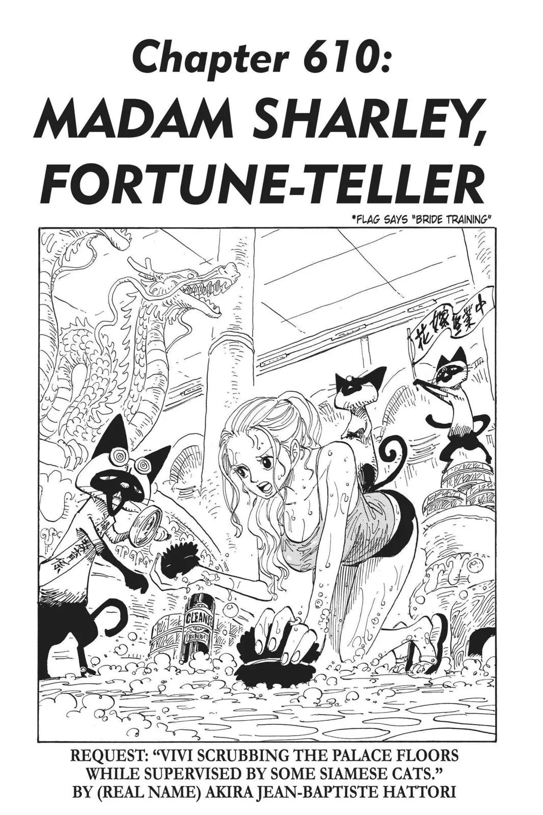 One Piece Chapter 610 Image 1