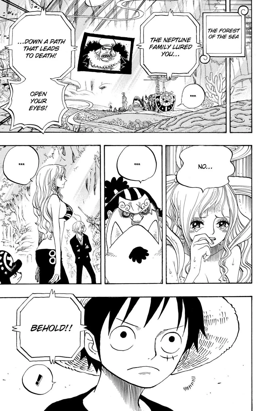 One Piece Chapter 628 Image 7