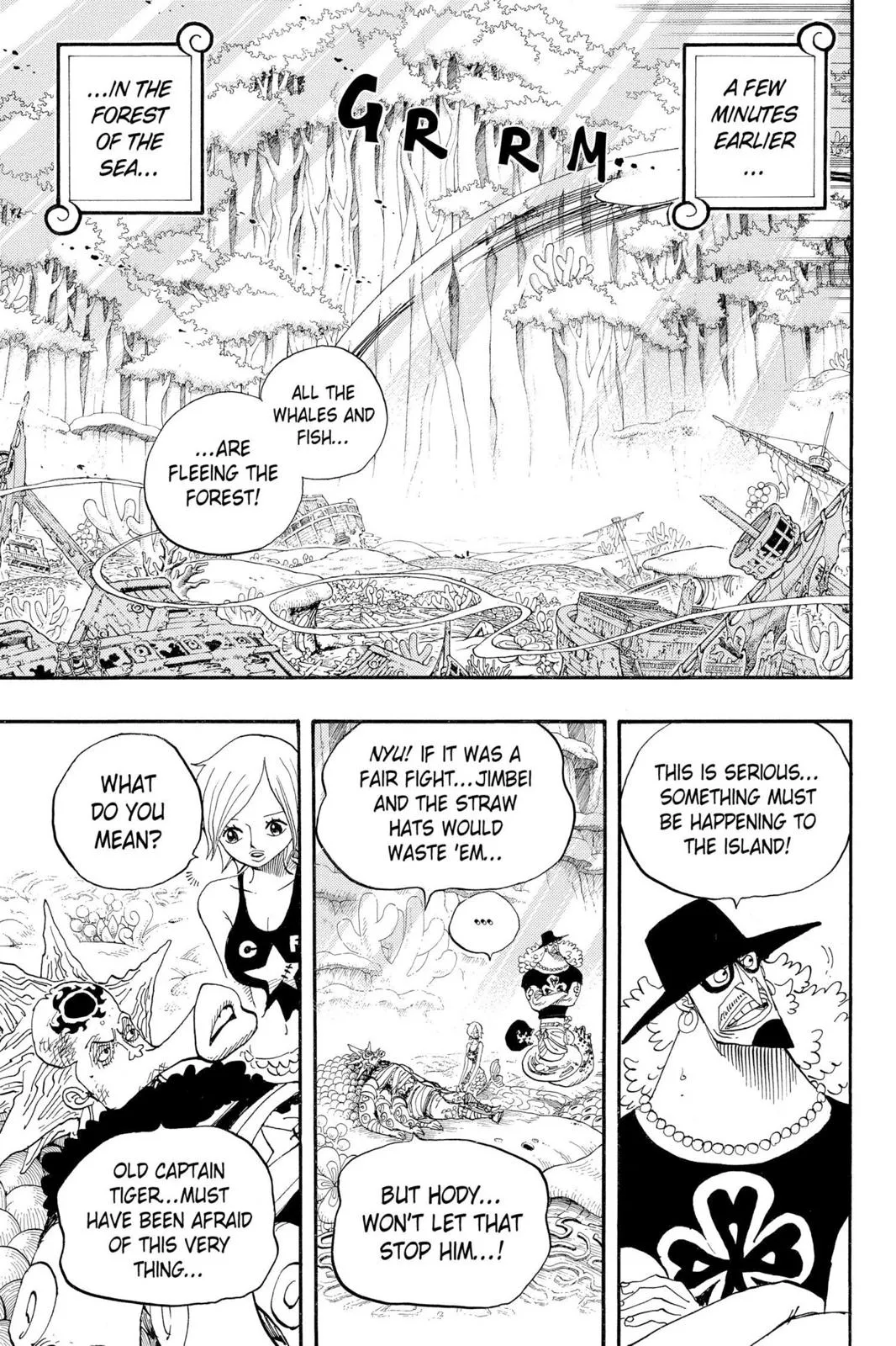 One Piece Chapter 642 Image 3