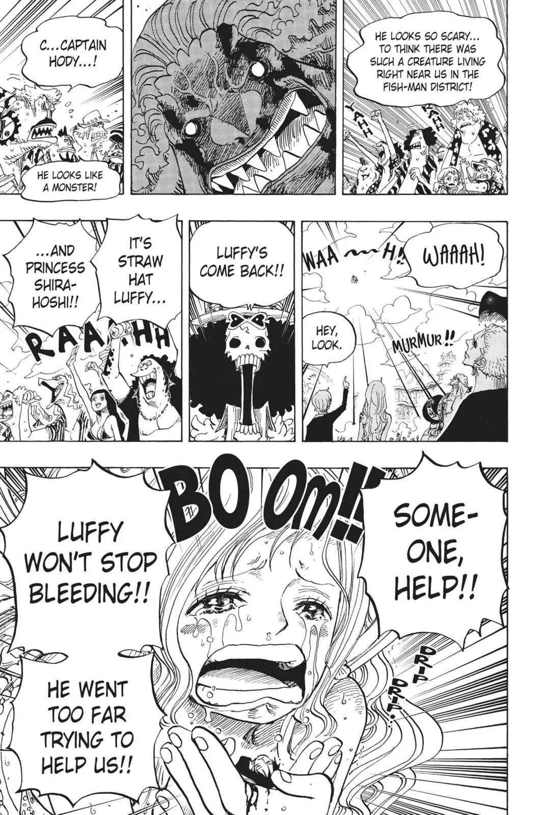 One Piece Chapter 648 Image 12