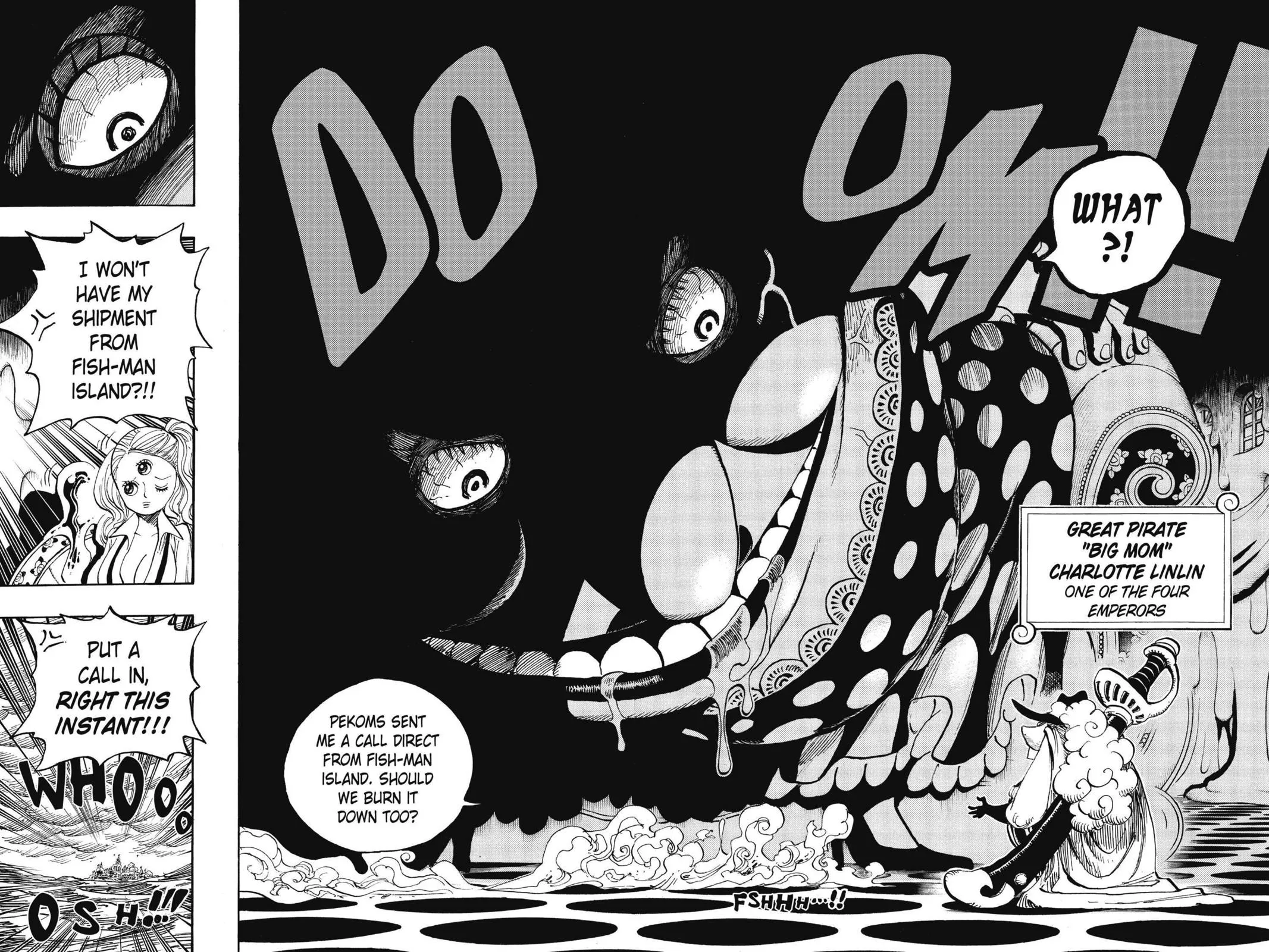 One Piece Chapter 651 Image 12