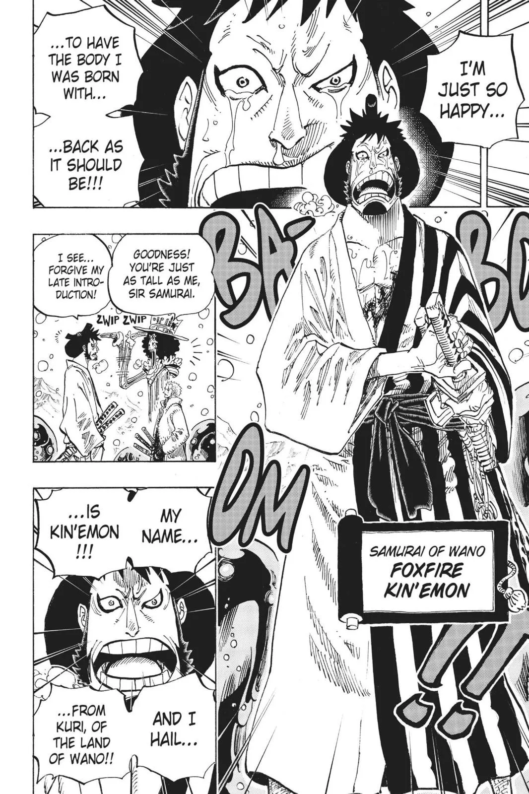 One Piece Chapter 672 Image 14