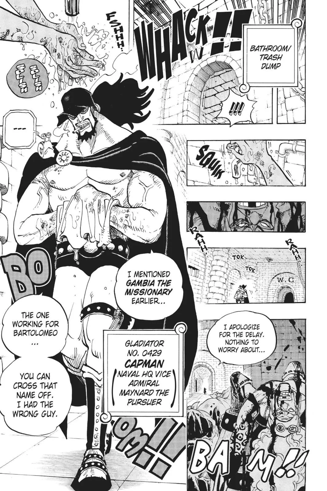 One Piece Chapter 705 Image 5