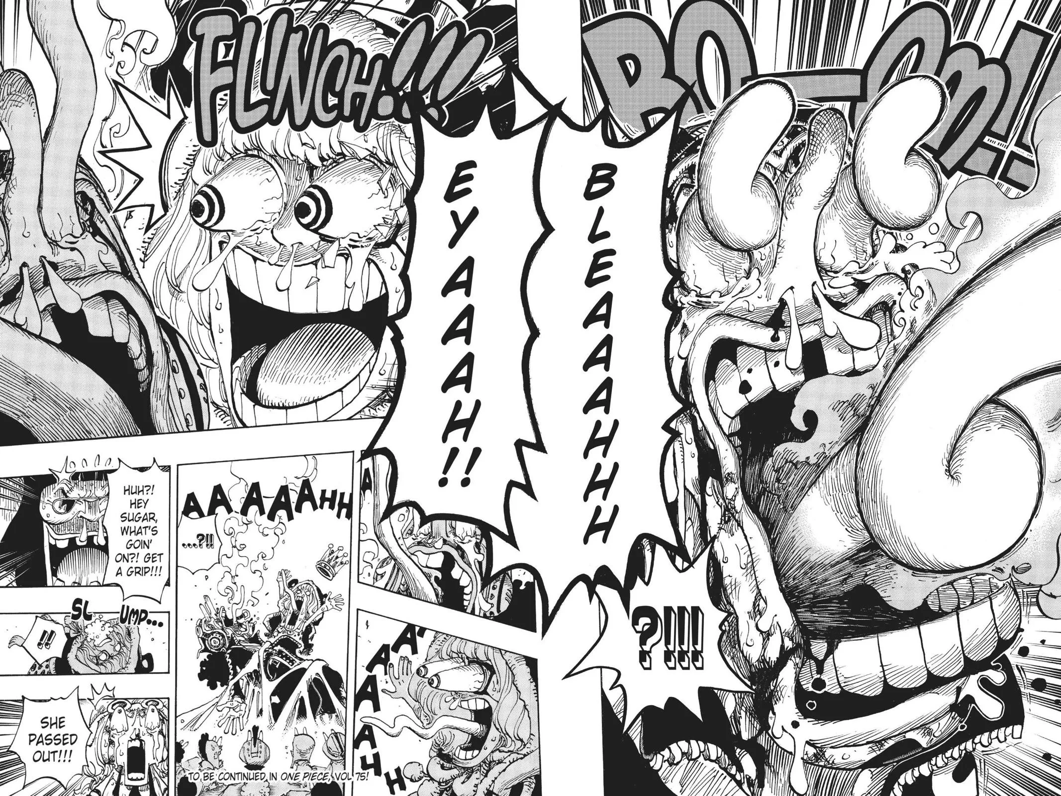 One Piece Chapter 742 Image 18